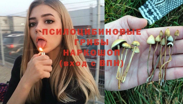 Альфа ПВП Осинники