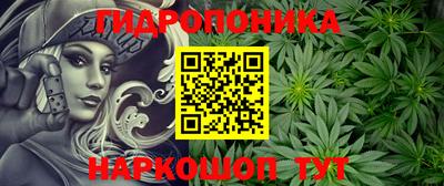 прущие крисы Гусев
