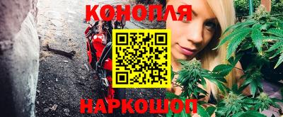 индика Апшеронск