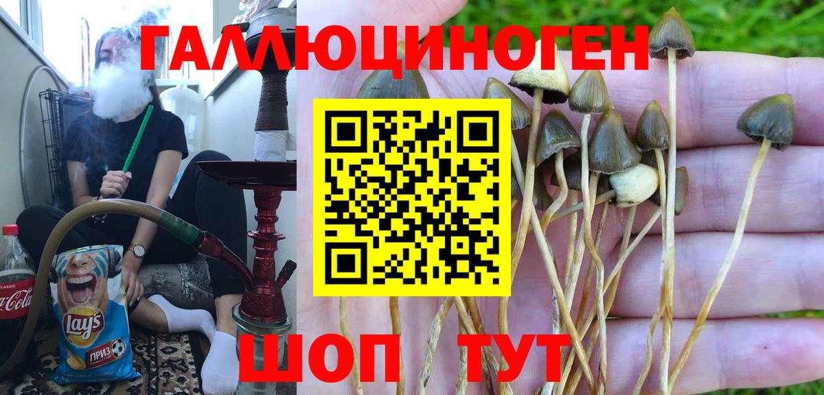 Галлюциногенные грибы мицелий  купить   Грязи 