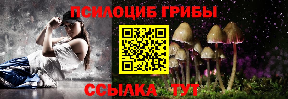 Грязи  Псилоцибиновые грибы MAGIC MUSHROOMS  Вход с VPN  Псилоцибиновые грибы Psilocybine cubensis 